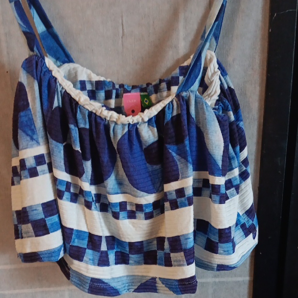 FARM Rio Blue and White Crop Top